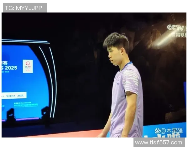 赛后分析:深圳羽毛球队与成都羽毛球队的战术对决与启示